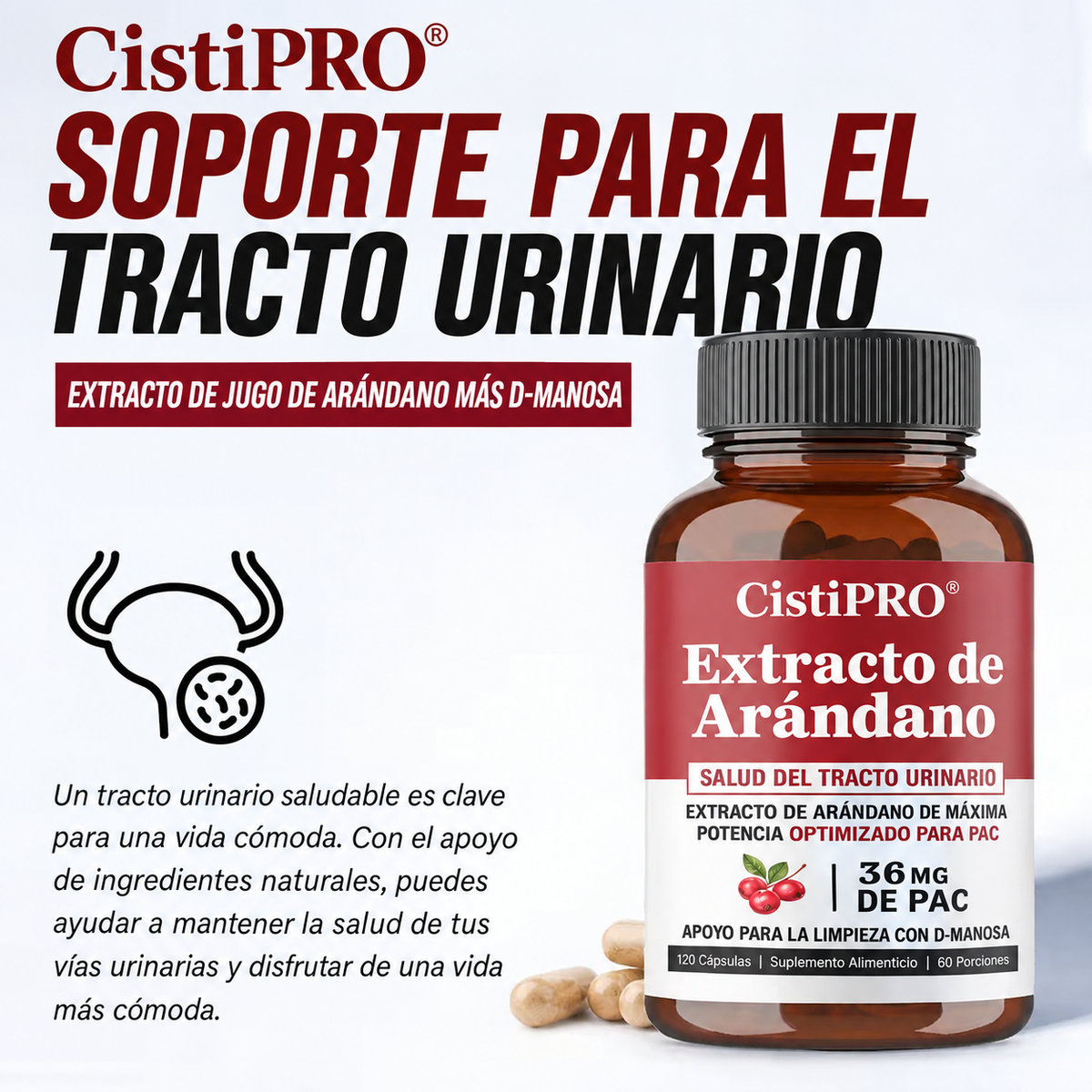 CistiPRO - Arándano Rojo 36 mg PAC · Salud Urinaria